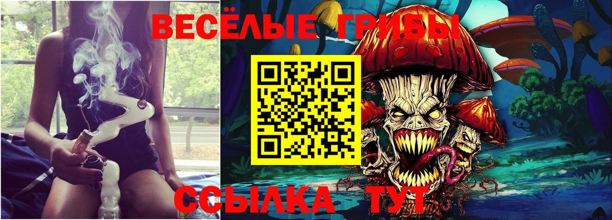 Псилоцибиновые грибы GOLDEN TEACHER  Псилоцибиновые грибы Psilocybine cubensis  Вход с VPN  купить   Великие Луки 