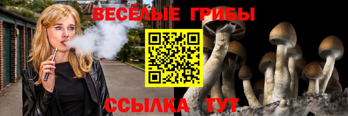 Псилоцибиновые грибы прущие грибы Великие Луки